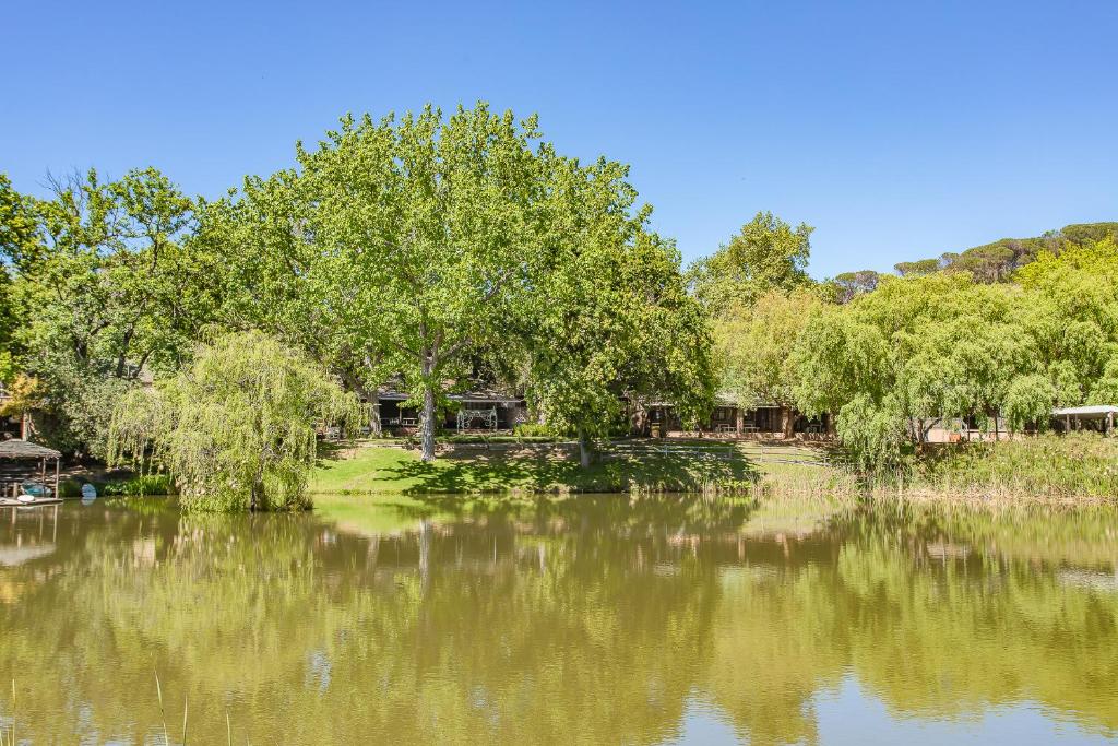 パールにあるPicardie Guest Farmの木々や家々が茂る大きな湖