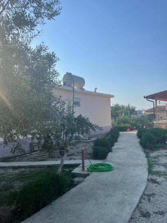 Cathrin’s villas and apartments - Image 9