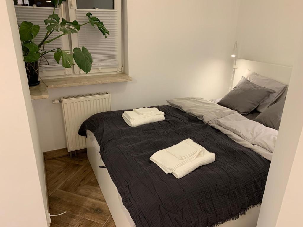 Close Wola Studio - 16