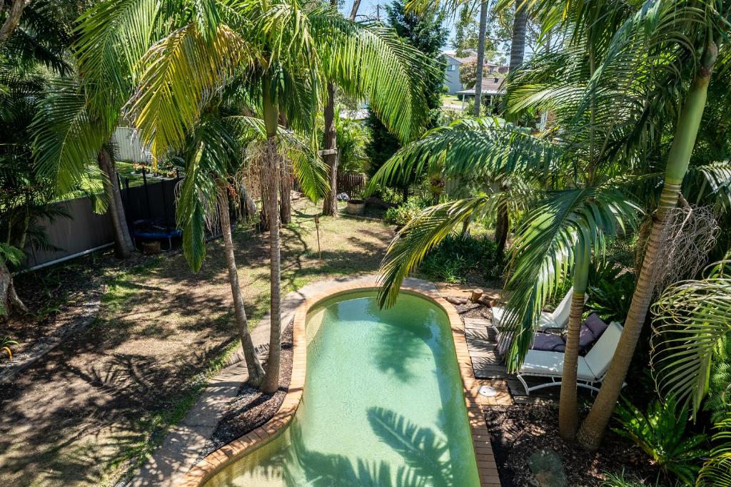 an empty pool in a yard with palm trees at VIVID - House w heated pool, ev station, fireplace in Summerland Point