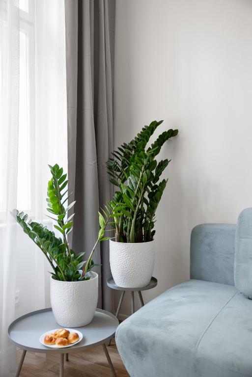 Enjoy Downtown Boutique Apartments #13 by goodnite cz - 19