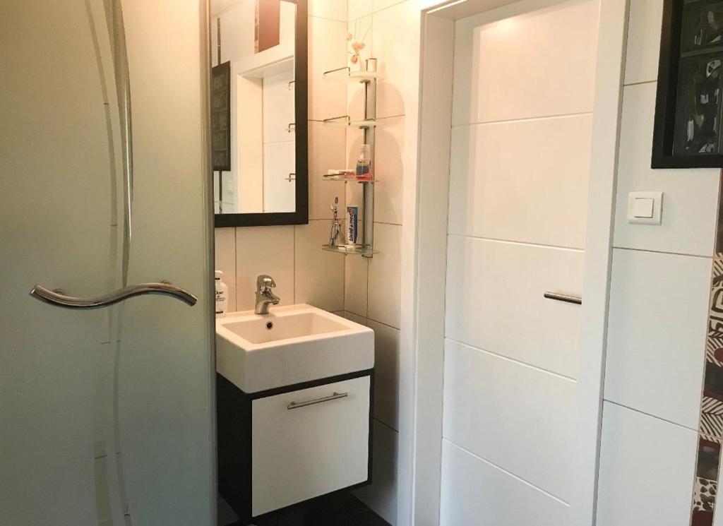 La petite salle de bains est pourvue d'un lavabo et d'une douche. dans l'établissement Private Room in Esch-sur-Alzette, à Esch-sur-Alzette