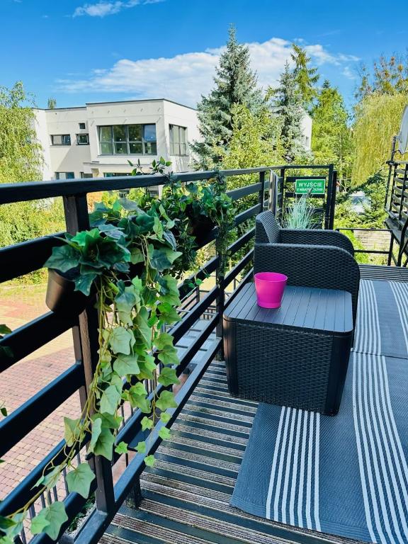 Apartamenty Pokoje Willa Bielany - 4