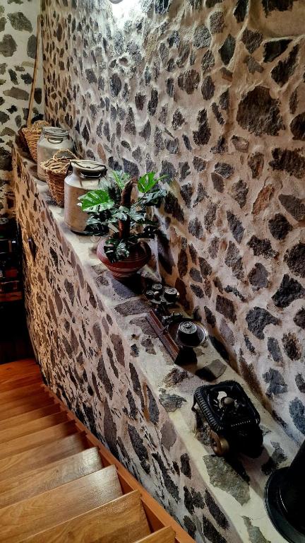 Fotografie z fotogalerie ubytování Palmital bajo Casa Canaria v destinaci Telde