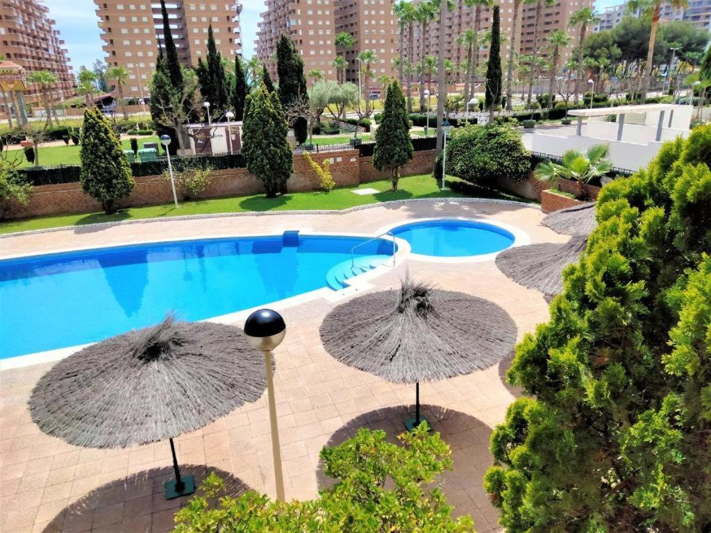 - une vue sur la piscine et ses parasols dans l'établissement COSTA MARFIL II - Marina Dor, à Oropesa del Mar