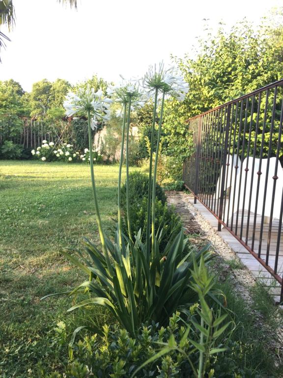 Zahrada ubytování ferme st pierre 2 suites avec repas, piscine, clim, cheminée ou baignoire spa