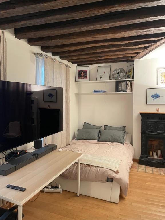 a bedroom with a bed and a desk with a television at Appartement principal in Paris
