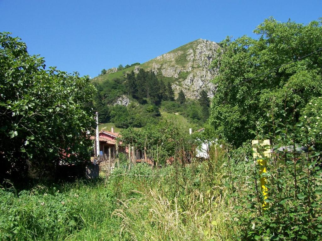 Táj Show country houses közelében