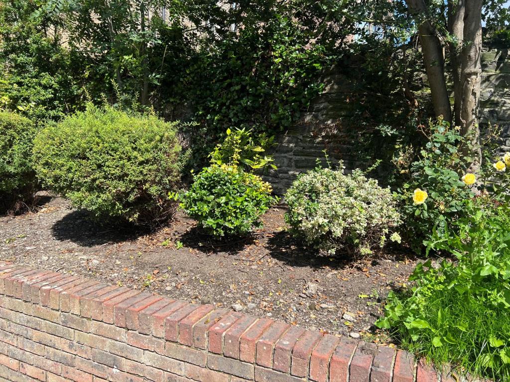 Waterloo Town House & Suites - Resim 29