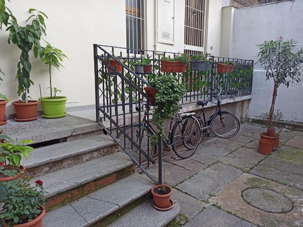 una bicicleta estacionada al lado de una valla con macetas en La Casa del Mondo, en Turín