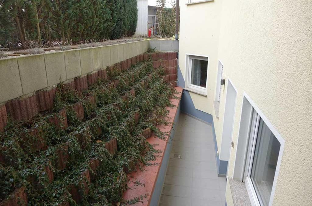 una fila de plantas a un lado de un edificio en Ferienwohnung Funkner, 