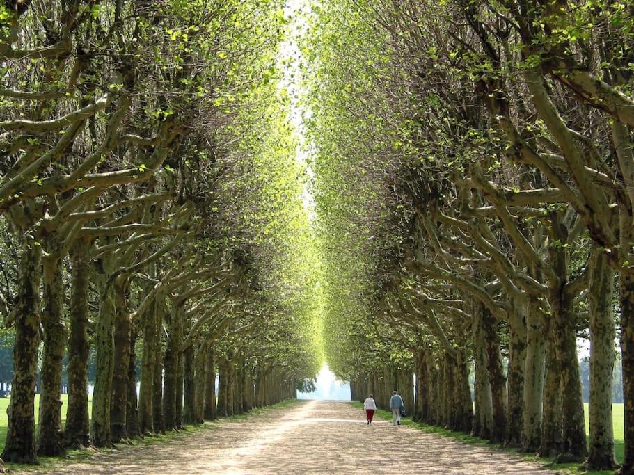 twee mensen lopen over een pad met bomen bij Paris & Versailles at your feet! Shared room in nice house in Meudon