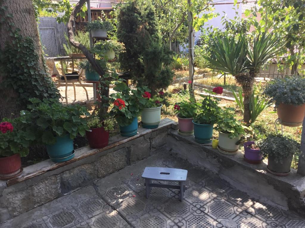 Vila Tradicionale Violeta Korce - Image 8
