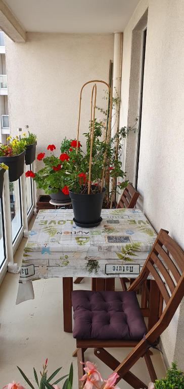 una mesa con macetas en el balcón en RESIDENCE AURORE, en Ermont
