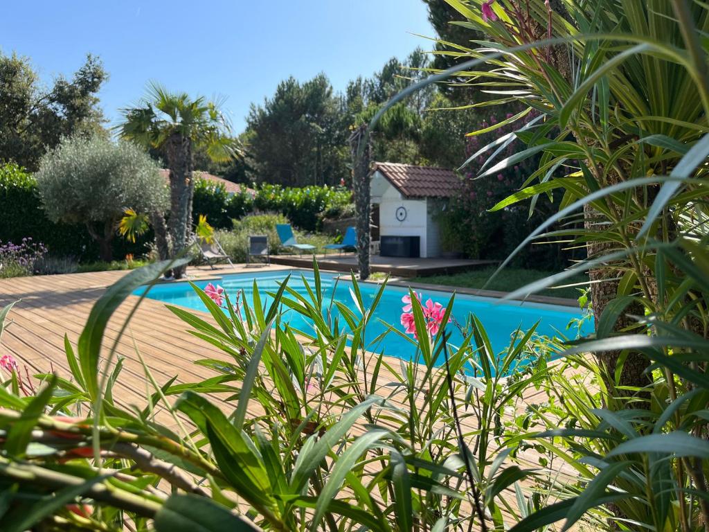una piscina in un cortile con piante di Lac et Nature a Sanguinet