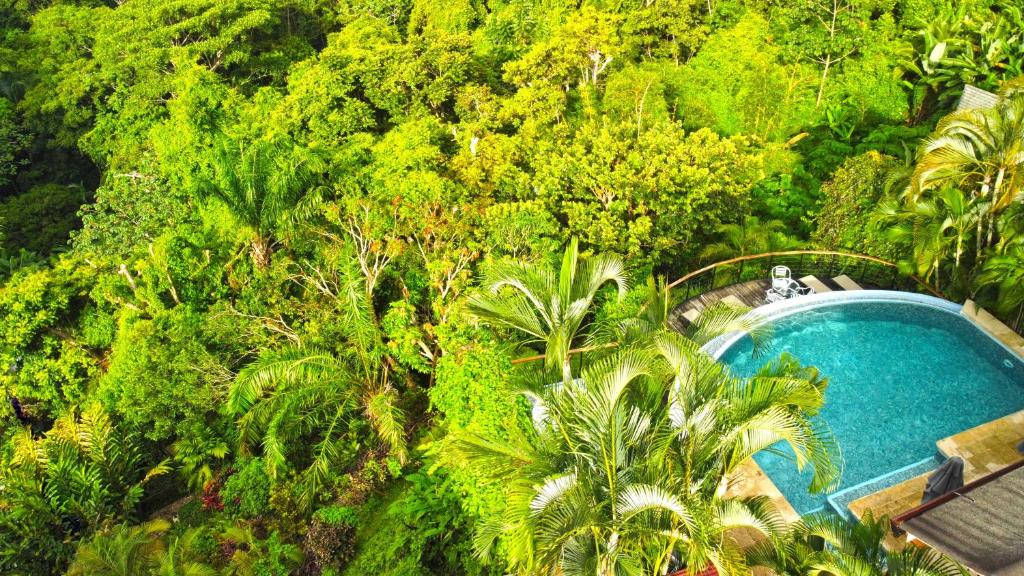 an overhead view of a swimming pool in the jungle at Villa Roca Boutique Resort & Suites - ADULT ONLY in Manuel Antonio