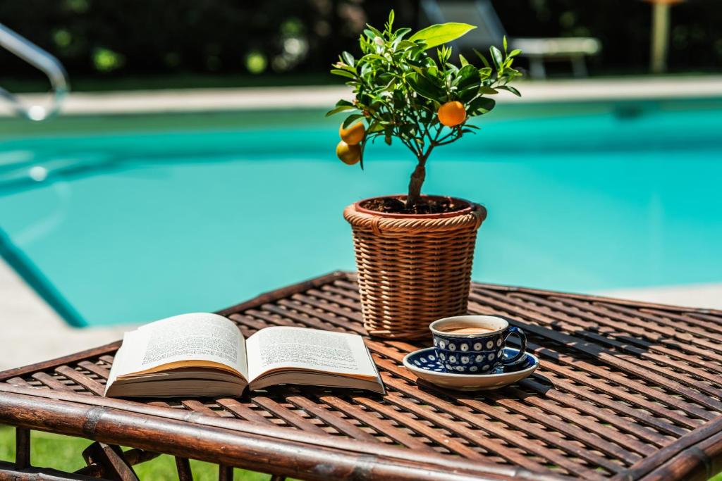a book and a plant and a cup of coffee on a table at Rovezzano B&B in Florence