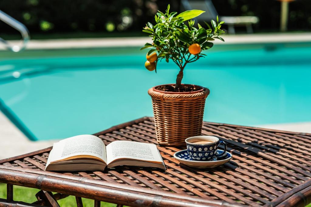 un libro y una planta y una taza de café sobre una mesa en Rovezzano B&B, en Florencia