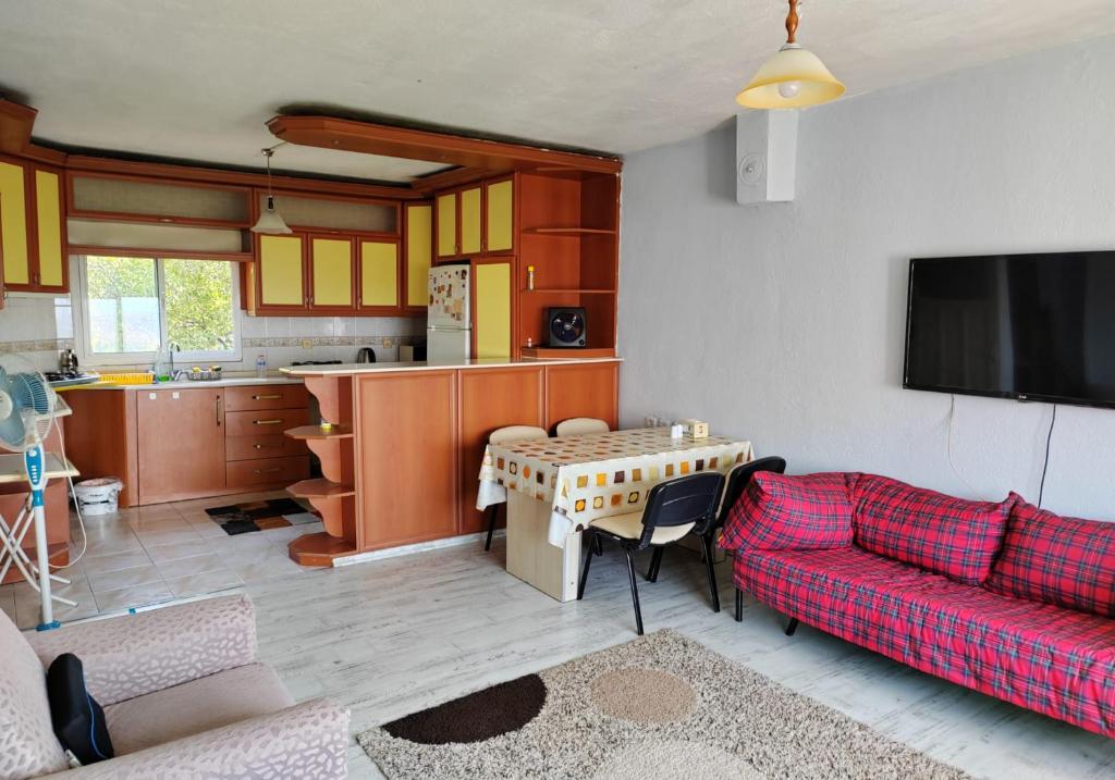 BurunabatにあるYemyeşil tertemiz havalı köy eviのリビングルーム(赤いソファ付)、キッチン