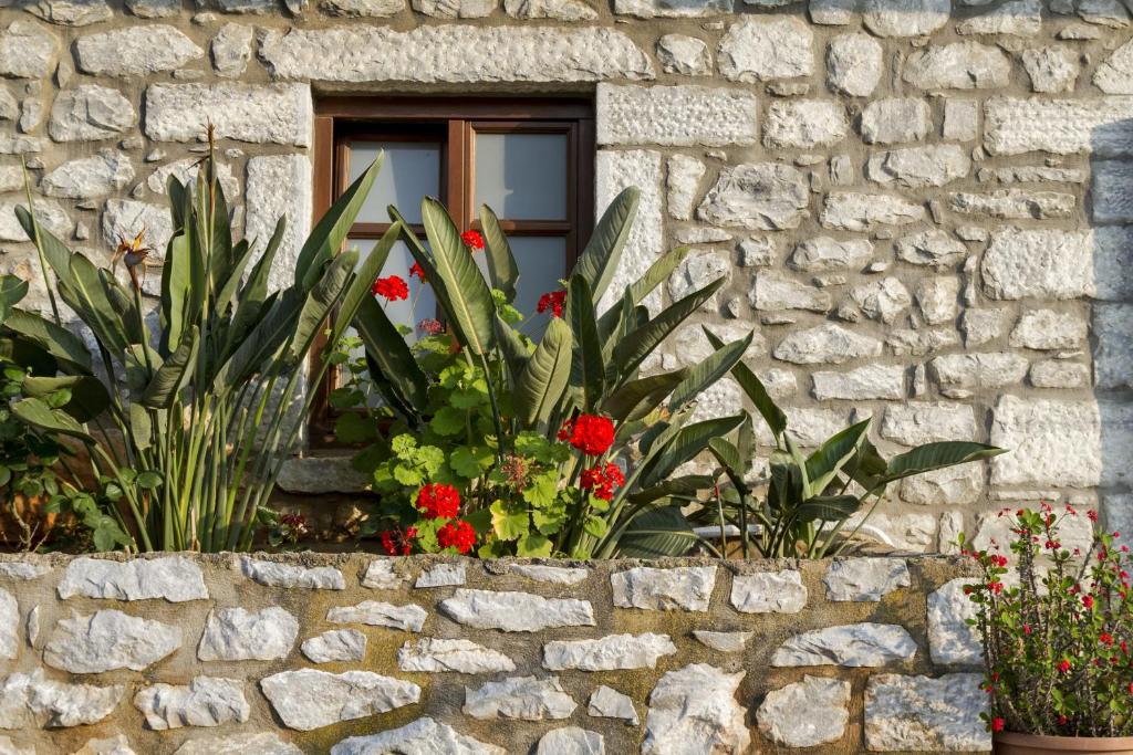 Zahrada ubytování Itilo Traditional Hotel