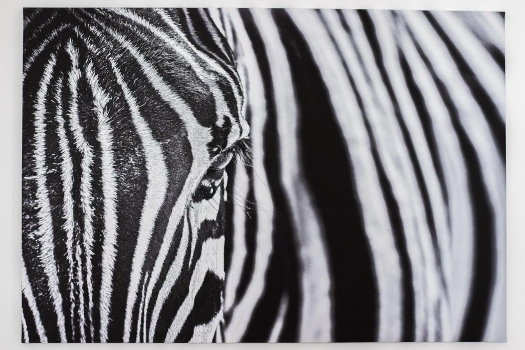 Stay Inn Apartments Krakovska - 12