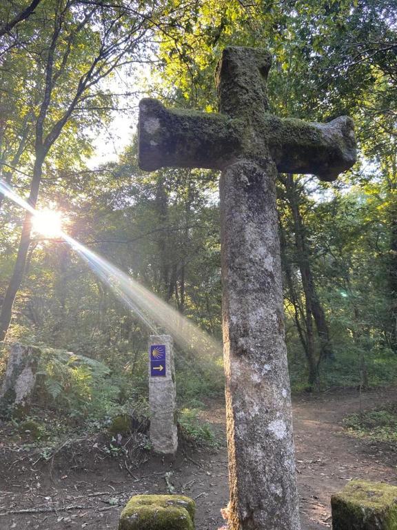 Casa Celia Camino Portugues - 13