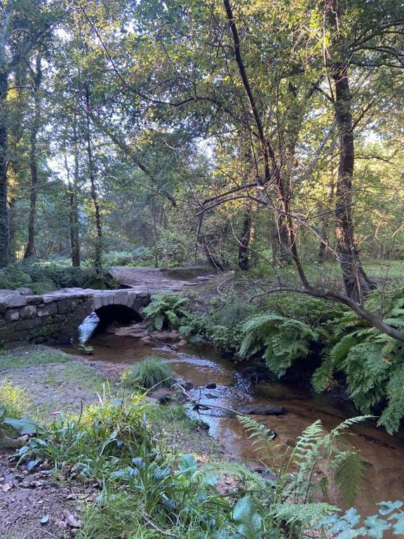 Casa Celia Camino Portugues - 12