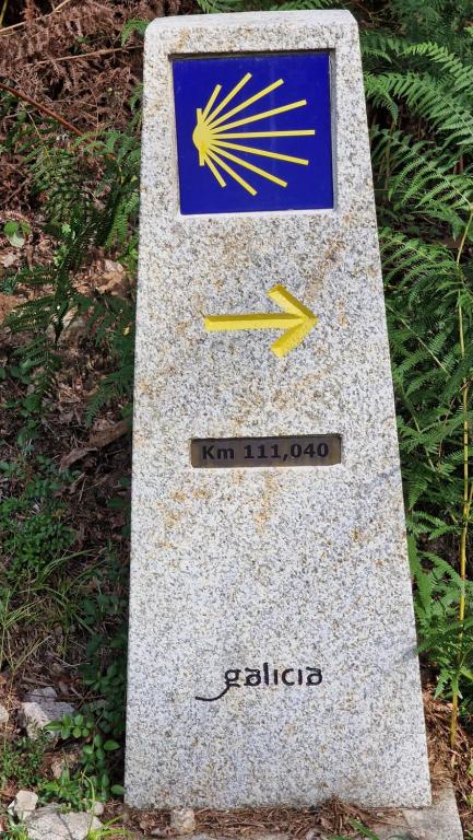 Casa Celia Camino Portugues - 14