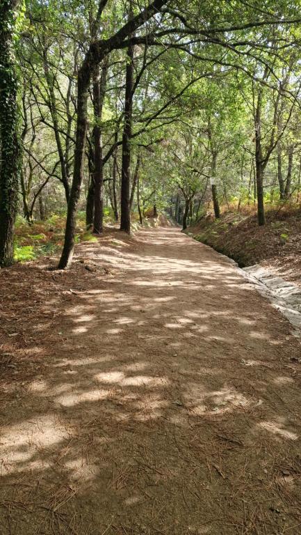 Casa Celia Camino Portugues - 16