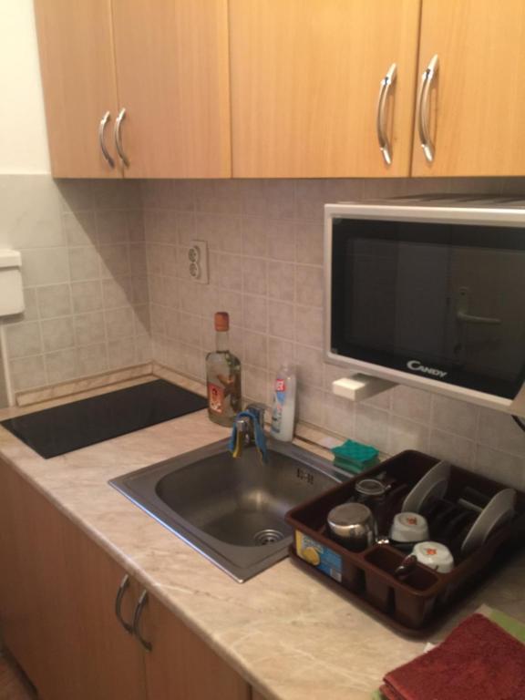 um balcão de cozinha com um lavatório e um micro-ondas em St. Sava Slavija Apartment em Belgrado