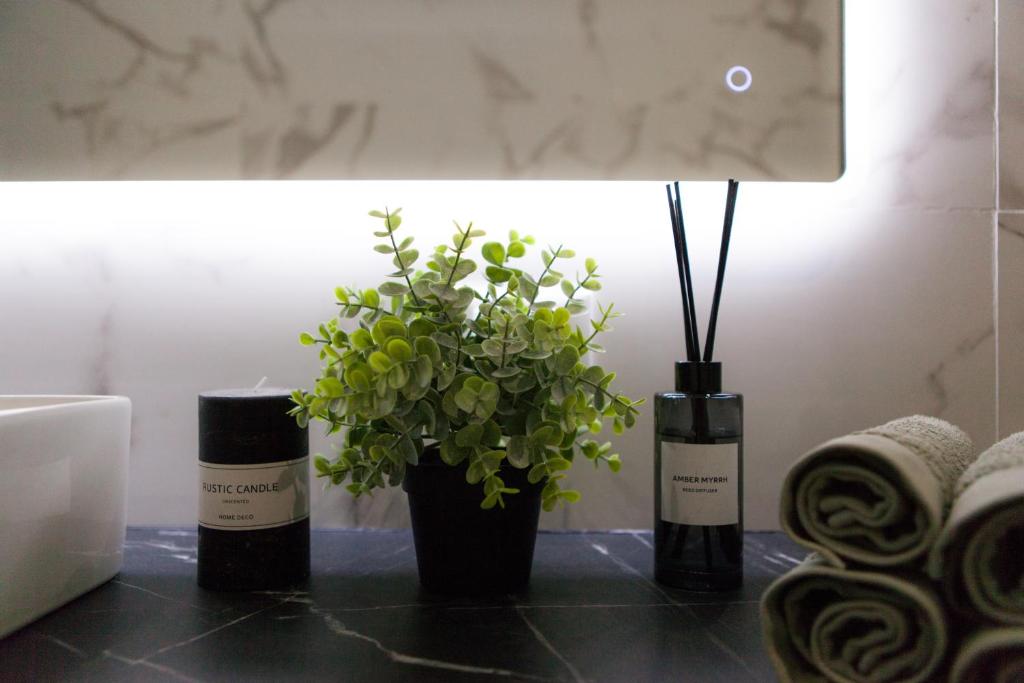 two vases with plants on a table next to a lamp at RomanApartments in Mestre