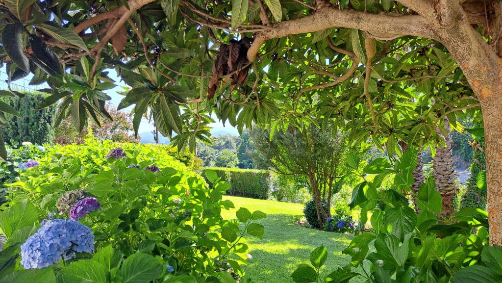 En have udenfor Casa Pinho