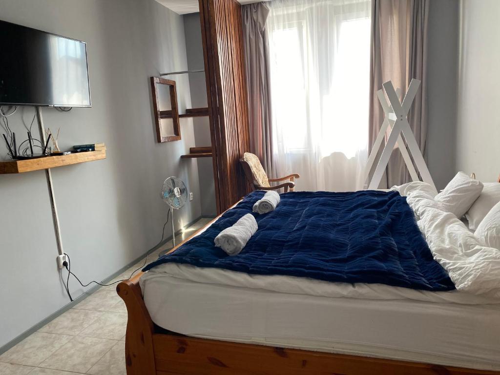 una camera da letto con un letto con una coperta blu e una finestra di Kael Apartment a Teplice