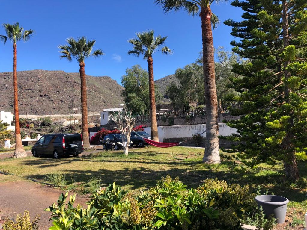 - un groupe de palmiers et un hamac dans un parc dans l'établissement Ventoso , Modern Rustic Stay, à Santiago del Teide