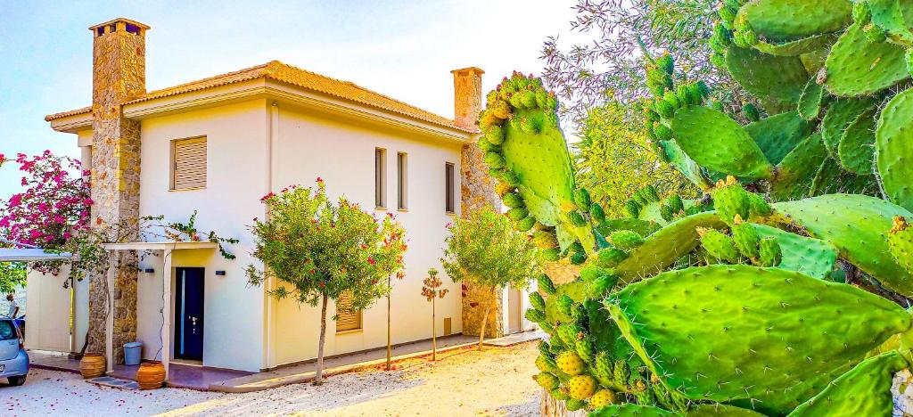Сад в Avatonblue Villa Nafplio