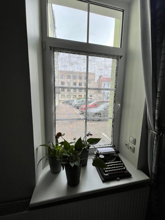Fotografie z fotogalerie ubytování Avers House v destinaci Narva