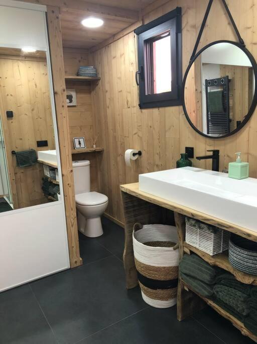 a bathroom with a sink and a mirror and a toilet at Chalet au pied des pistes du Cambre d Aze in Saint-Pierre-dels-Forcats