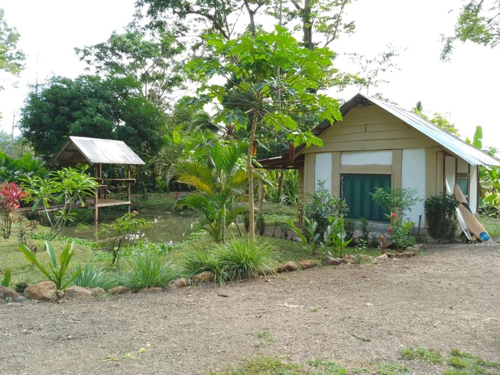 una piccola casa di fronte a un giardino di Cabinas jugle jause a Bahía Drake