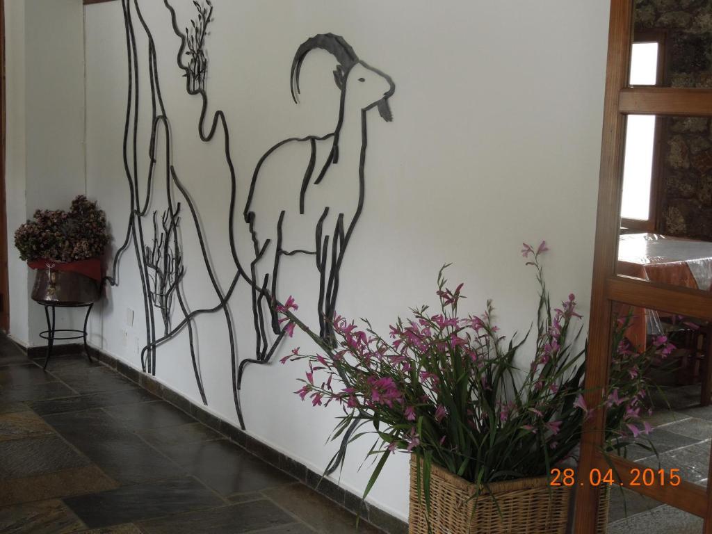 Foto dalla galleria di Neos Omalos Hotel a Omalos