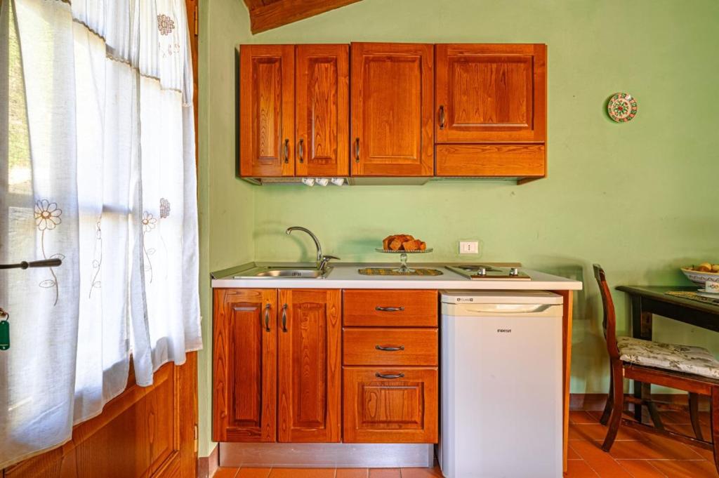 A kitchen or kitchenette at Agriturismo Pian di Fiume