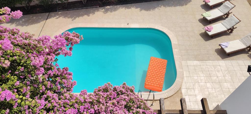 Bazén v ubytování Superb large private villa with pool nebo v jeho okolí