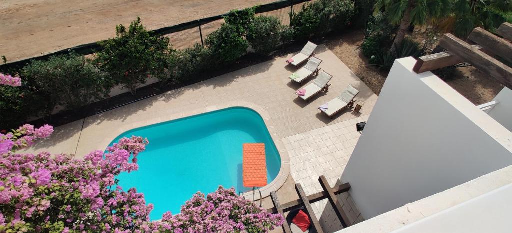 Bazén v ubytování Superb large private villa with pool nebo v jeho okolí