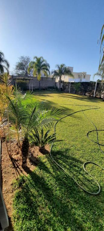a lawn with palm trees and a hose at Umbrella 1 in La Rioja