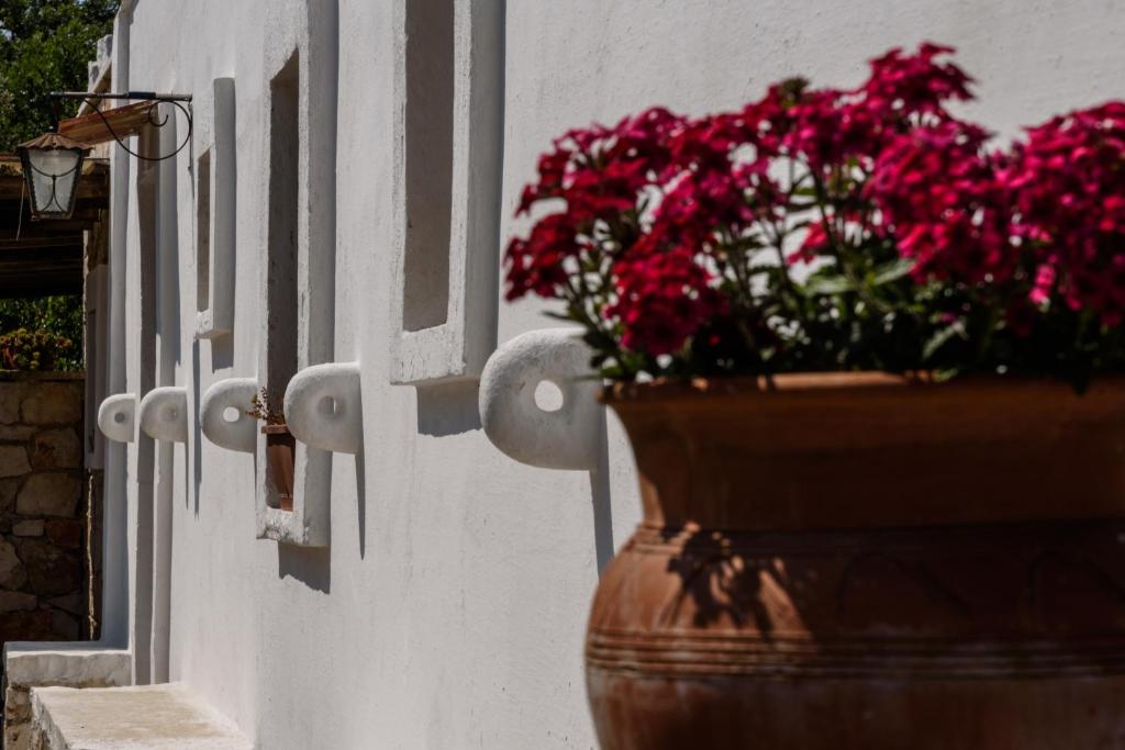 B&b Cinque Stalle - 13