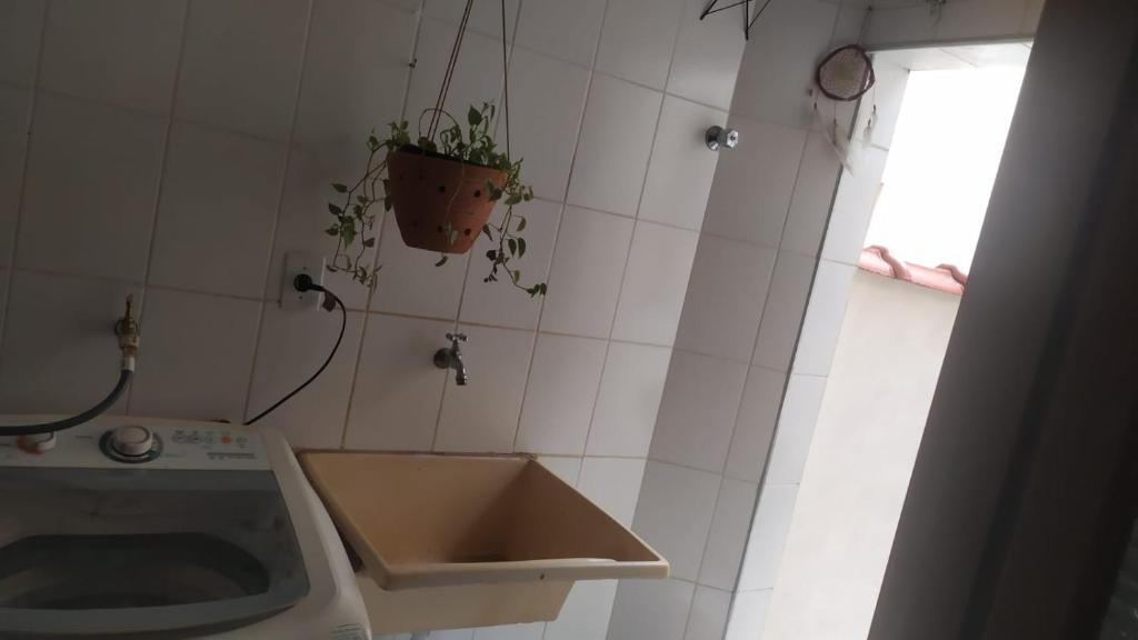 uma cozinha com um lavatório e uma planta na parede em Quarto Privado em Franca