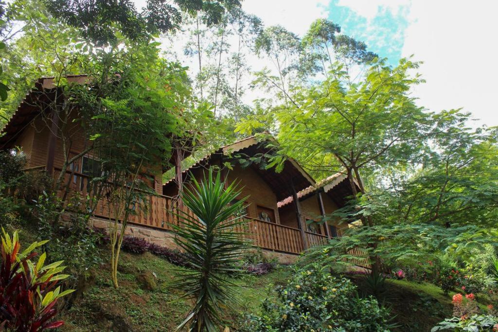 Recanto dos Colibris في Tabocas: منزل في وسط غابة