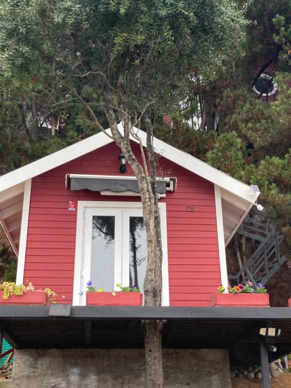 迪查多的住宿－La Pequeña Escandinavia, Havethus，窗户上有鲜花的红色房子