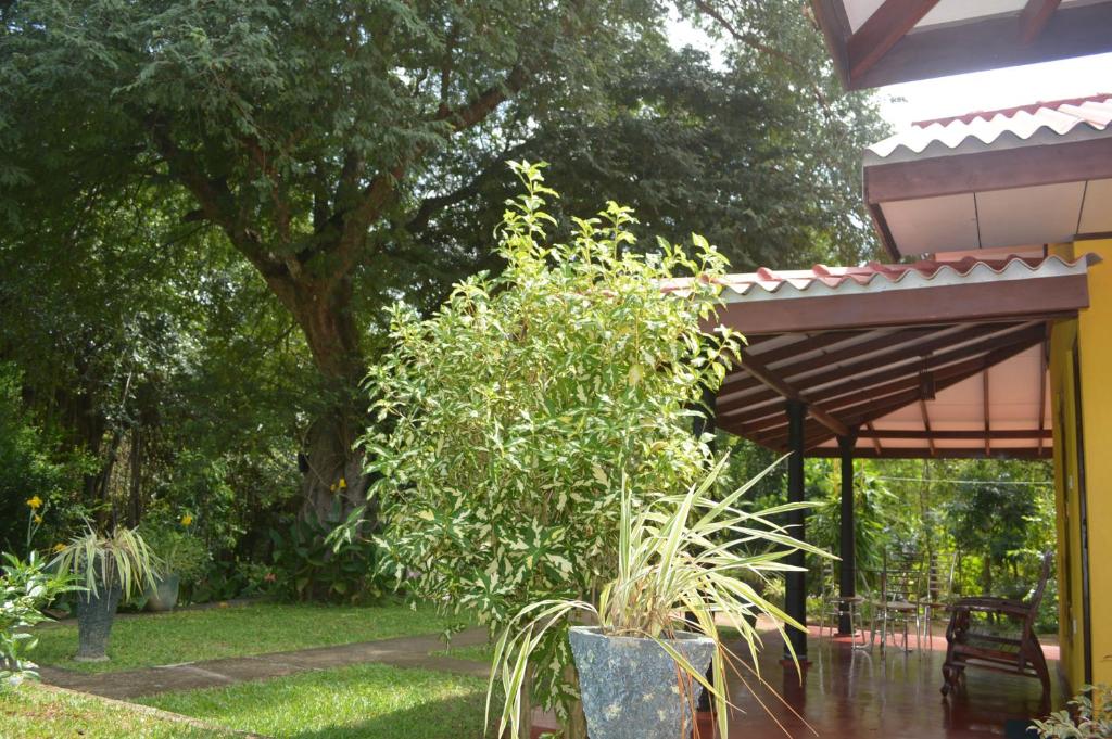 Zahrada ubytování Amazon Cabanas