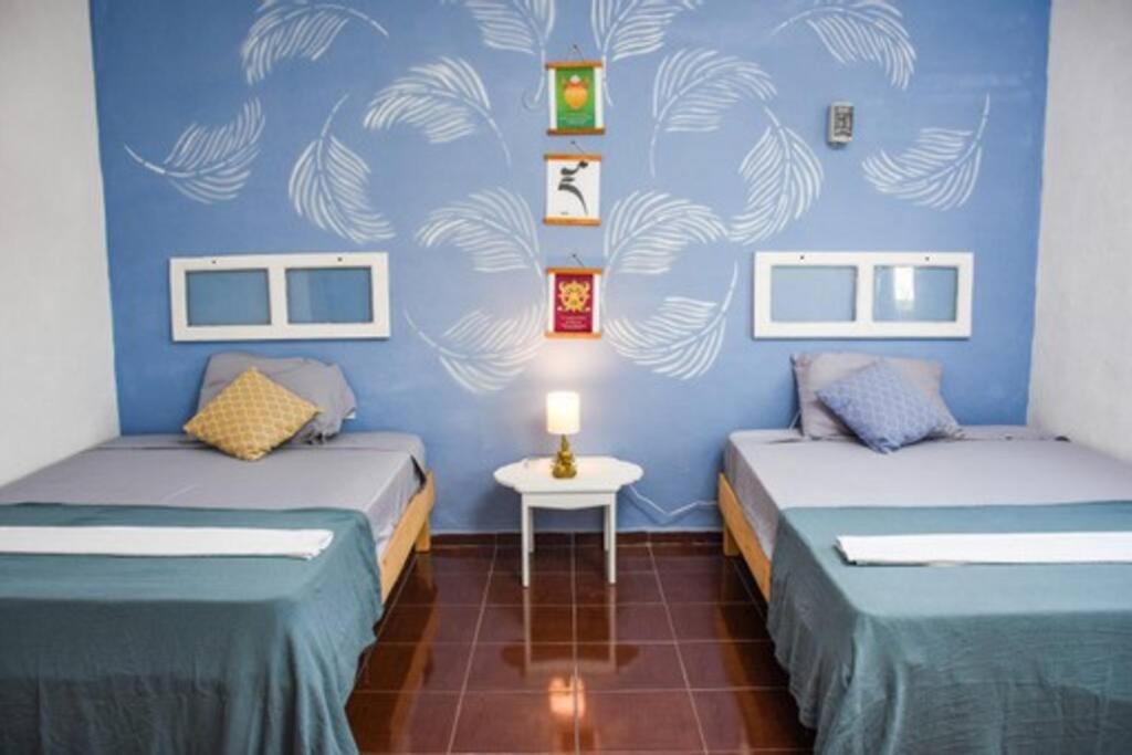 two beds in a room with a blue wall at Departamento cerca del Ferry y del centro de Holbox in Holbox Island