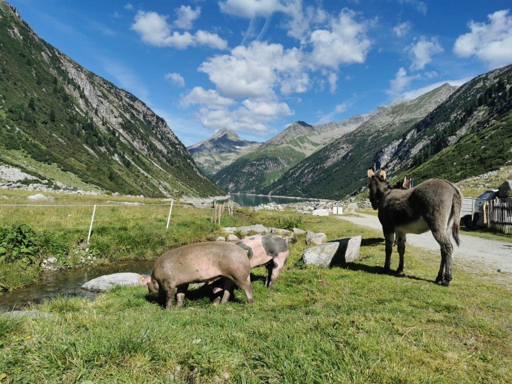 Zeit.Glück Appartements - 7